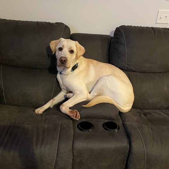 Meet your Posher, Casey - Picture 8 of 16